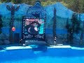 Killer Whale Show Six Flags Marin World U.S.A