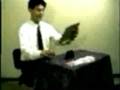 videos de XRAY