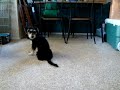 Cutie Video 05