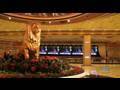 MGM Grand Hotel & Casino - Las Vegas - On Voyage.tv