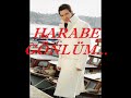 G�cl� Soydemir-Harabe G�nl�m