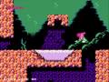 the little mermaid is a video game was developed by capcom for the nes and game boy, and published in 1991 for the nes, and in 1992 for the game boy. it is a single player side-scrolling action game where you control ariel on a quest to defeat the evil ursula, the sea witch. in disney's the little mermaid for the nes, you play as ariel. ariel has already met eric, and they plan to wed, but the sea-witch ursula has taken control of the ocean! so ariel (after explaining what's going on to eric) becomes a mermaid once more and sets off to rescue the sea. the game takes place from a side view and ariel (swimming most of the time, but hopping around on the land occasionally) can shoot bubbles to trap her foes and can then throw them at each other. she can also dig through sand to find treasure and pick up sea shells to break chests open with. the treasure she finds in the sand is usually just bonus points, but the treasure you find in chests will increase your bubble's power and range.