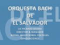ORQUESTA BACH  THE WAY YOU ARE