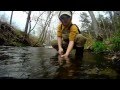 Fly Fishing the Ozarks Fall, 2011