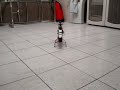 MOV01216.MPG