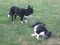 videos de Sioux y Haizea de Gautegiz