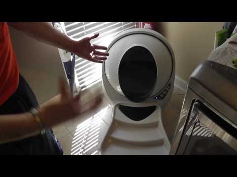 Litter Box For Older Cats