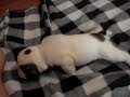 MOV00496.MPG