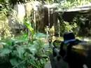 Crysis MP Beta On Very High Settings