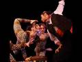 o circo como diversidade cultural