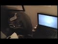 Hook up your XBox 360 to your Computer Monitor-Poor man\