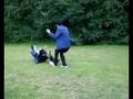 Battle Royale Series Trailer (Better and Longer)