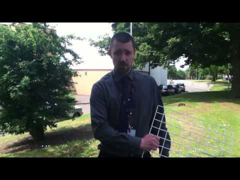 how to belt transect