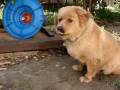 videos de Ein