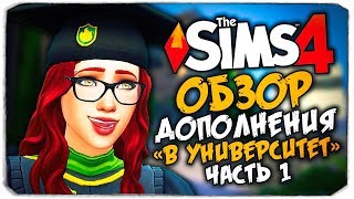 The Sims 4 – видео обзор дополнения "В университете"