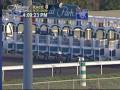 Winstar Farms American Lion Impressive In Prevue Win