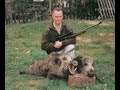 animales en peligro de extinción