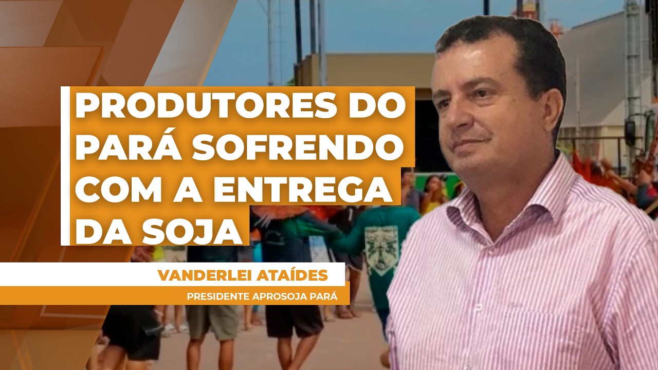 Às vésperas do início da colheita da soja, produtores do Pará vivem angústia sem ter onde...