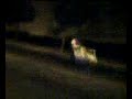 4uma - free flv video @ vwatch.tv