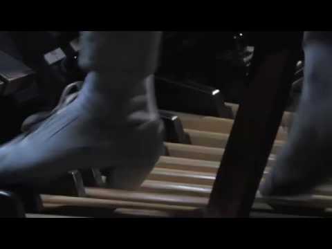 Cameron Carpenter: Revolutionary Etude
