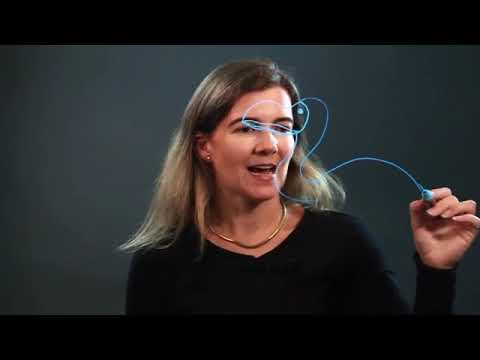 video-linktoworks-How to Draw a Dodo Bird