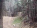 erez shir-on