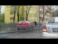 Bizonii in trafic