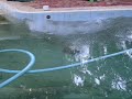 Dry Ice Bomb Underwater 300ml Dry Ice Bomb Underwater 300ml
