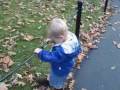 videos de 11-06-08 Zoo Visit