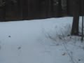 02 01 09 gita sulla neve/7