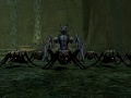 l2Olympia - Playground of the Gods