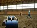 Melissa Vermette And the Horses
