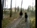 Galopp mit Sinett und mir