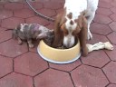 Breakfast Sharing