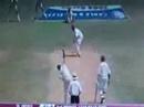 Steve harmison