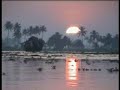 The Backwaters in Kerala