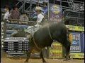  2008 BFTS Winston-Salem Cat man do kody lostroh