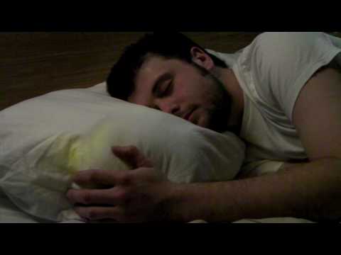 Immagine anteprima YouTube
