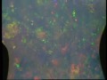 gemology-of-precious-opal.html