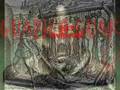 indios tainos