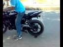 pulsar 220 burn out in NYGHT RYDERz