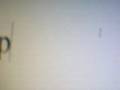videos de fat lol guy