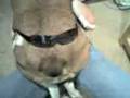 videos de Tito.3gp