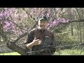 Nikon Scope For Shotguns: Tip 1