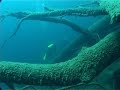 Buceo en San Patricio - Lago Nahuel Huapi