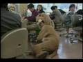 (1992)karasawa'tv-Home Work