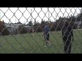 jav shoreline Rob