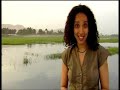 what the ancients did for us  muslim arabs  part 2