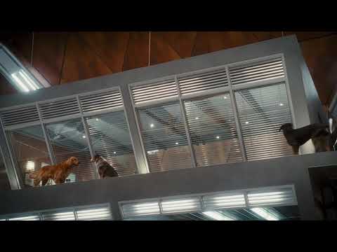 Cats and Dogs: The Revenge of Kitty Galore: Mission Briefing