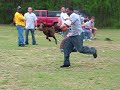 SHOCHA AT IRON DOG COMP 1ST LPACE WINNER